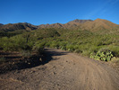 photo thumbnail #2