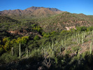 photo thumbnail #8