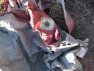 photo thumbnail #2
