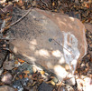 photo thumbnail #13