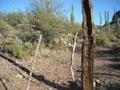 photo thumbnail #3