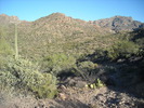 photo thumbnail #4