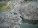 photo thumbnail #13