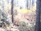 recent photo