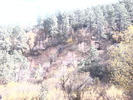 recent photo