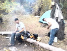 photo thumbnail #10