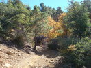 photo thumbnail #3