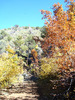 photo thumbnail #11