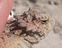 photo thumbnail #14