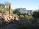 photo thumbnail #4