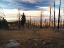 photo thumbnail #4