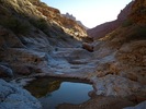 photo thumbnail #8