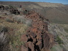 photo thumbnail #9