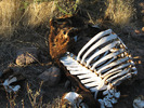photo thumbnail #2