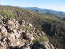 photo thumbnail #5