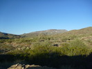 photo thumbnail #9