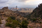 photo thumbnail #1