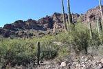 photo thumbnail #4