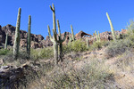 photo thumbnail #5