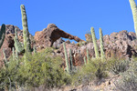 photo thumbnail #6
