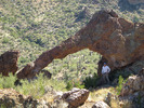 photo thumbnail #9