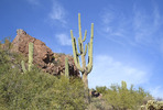 photo thumbnail #13