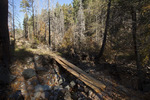 photo thumbnail #2