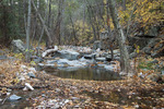 photo thumbnail #14