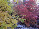 photo thumbnail #10