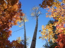 photo thumbnail #11