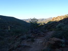 photo thumbnail #4