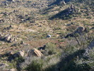 recent photo