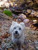 photo thumbnail #2