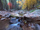 photo thumbnail #3