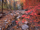 photo thumbnail #9