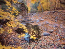 photo thumbnail #10