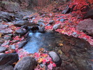 photo thumbnail #12