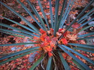photo thumbnail #13