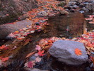 photo thumbnail #15