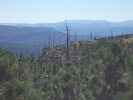 photo thumbnail #2