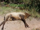 photo thumbnail #5