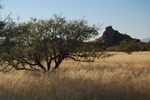 photo thumbnail #12