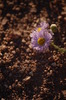 photo thumbnail #14