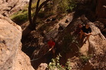 photo thumbnail #2