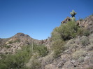 photo thumbnail #7
