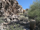 photo thumbnail #8