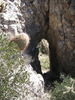 photo thumbnail #11