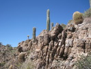 photo thumbnail #13