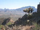 photo thumbnail #15