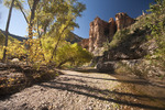 photo thumbnail #9